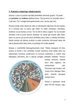 Referāts 'Kukaiņi - Insecta', 3.