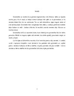 Referāts 'Grūtniecības sekas uz sievietes muguru', 3.