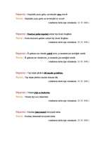 Konspekts 'Valodas kļūdas', 3.