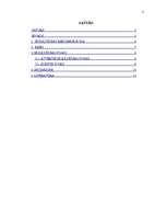 Referāts 'Ieguldījumu rekomendācija', 2.