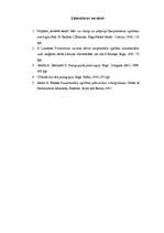 Referāts 'Starpkultūru izglītība un bērna attīstība starpkultūru vidē', 17.