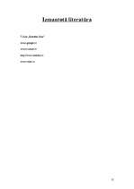 Referāts 'Romāns Suta - dzīves gājums', 15.