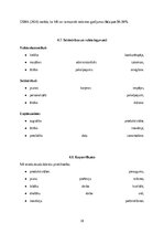 Referāts 'Mākslīgā intelekta ietekme uz darba tirgu: izaicinājumi, riski un nākotnes attīs', 20.