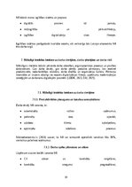 Referāts 'Mākslīgā intelekta ietekme uz darba tirgu: izaicinājumi, riski un nākotnes attīs', 31.