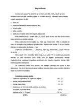 Biznesa plāns 'Biznesa plāns "Lilijas"', 3.