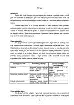 Biznesa plāns 'Biznesa plāns "Lilijas"', 8.