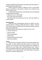 Biznesa plāns 'Biznesa plāns "Lilijas"', 9.