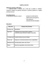 Biznesa plāns 'Biznesa plāns "Lilijas"', 13.