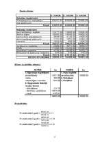 Biznesa plāns 'Biznesa plāns "Lilijas"', 15.