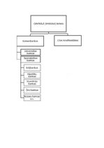 Referāts 'Otrā līmeņa bankas - komercbankas un to funkcijas', 15.