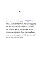 Referāts 'Bruņinieki', 2.