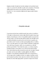 Referāts 'Bruņinieki', 7.