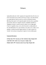 Referāts 'Bruņinieki', 10.