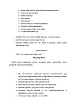 Referāts 'Loģistika degvielas uzpildes stacijā', 2.