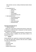 Referāts 'Loģistika degvielas uzpildes stacijā', 7.