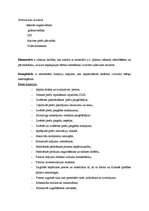 Referāts 'Loģistika degvielas uzpildes stacijā', 10.