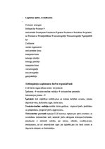 Referāts 'Loģistika degvielas uzpildes stacijā', 12.