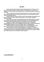 Referāts 'Datorvīrusi', 3.