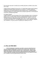 Referāts 'Datorvīrusi', 19.