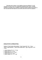 Referāts 'Datorvīrusi', 25.