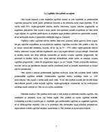 Referāts 'Cēsu rajona makrovides analīze', 7.