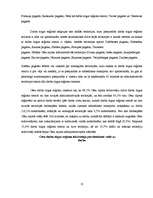 Referāts 'Cēsu rajona makrovides analīze', 12.