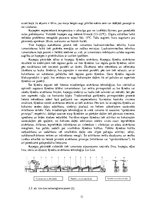 Referāts 'Kaņepju spaļu ietekme uz vidi', 11.