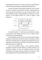 Referāts 'OSI etalonmodelis', 7.