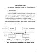 Referāts 'OSI etalonmodelis', 9.