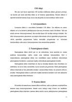 Referāts 'OSI etalonmodelis', 10.