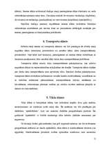 Referāts 'OSI etalonmodelis', 11.