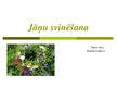 Prezentācija 'Jāņu svinēšana', 1.