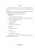 Referāts 'Zvaigznes', 3.