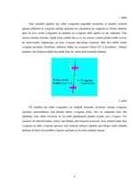 Referāts 'Zvaigznes', 9.