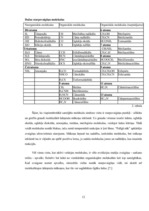 Referāts 'Zvaigznes', 12.