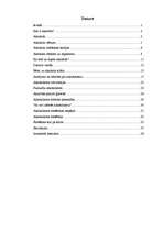 Referāts 'Alkoholisms', 1.