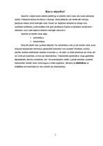 Referāts 'Alkoholisms', 3.