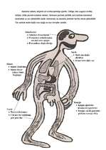 Referāts 'Alkoholisms', 10.