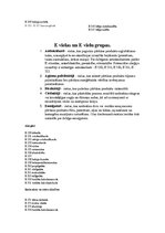 Konspekts 'E - vielas', 2.