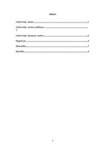 Konspekts 'Demogrāfija Itālijā', 2.