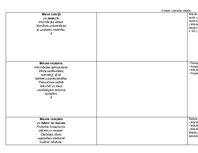 Konspekts 'Tematiskais plānojums latviešu valodā 4.klasei', 4.