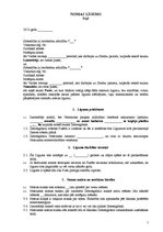 Paraugs 'Nomas līgums', 1.