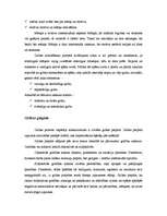 Konspekts 'Griba', 3.