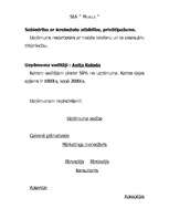 Biznesa plāns 'SIA “Mobile“', 1.