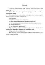 Referāts 'Latvijas banku piedāvātie studentu kredītu pakalpojumi, to aktualitāte topošo un', 27.