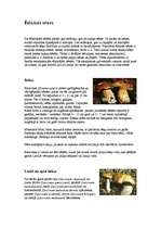 Referāts 'Sēnes', 3.