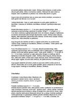 Referāts 'Sēnes', 5.