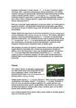 Referāts 'Sēnes', 9.