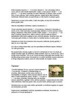 Referāts 'Sēnes', 12.