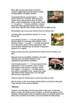 Referāts 'Sēnes', 14.